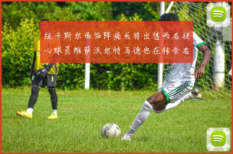 纽卡斯尔面临阵痛或将出售两名核心球员维萨沃尔特马德也在转会名单上