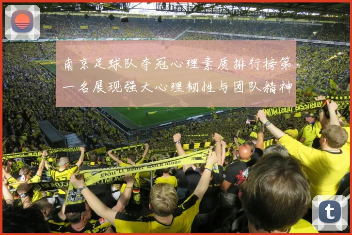 南京足球队夺冠心理素质排行榜第一名展现强大心理韧性与团队精神
